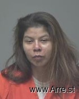 Jerri Leigh Kegg-nickaboine Mugshot