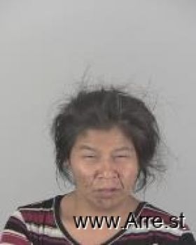 Jerri Leigh Kegg-nickaboine Mugshot