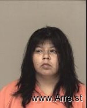 Jerri Leigh Kegg-nickaboine Mugshot