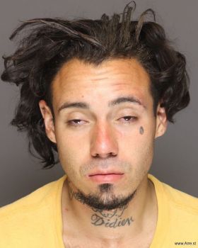 Jesus  Landeros-gonzales Mugshot