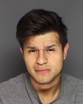 Jesus Rosas Lechuga Mugshot