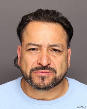 Jose Domingo Lemus-silva Mugshot