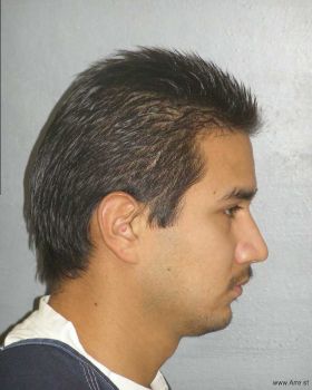 Jose Miguel Patino Mugshot