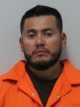 Juan Carlos Castillo Mugshot