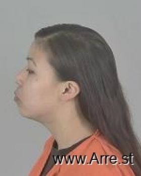 Karissa Leigh Nickaboine Mugshot