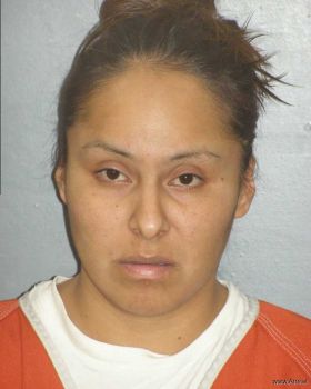 Kristie Marie Eagle Mugshot