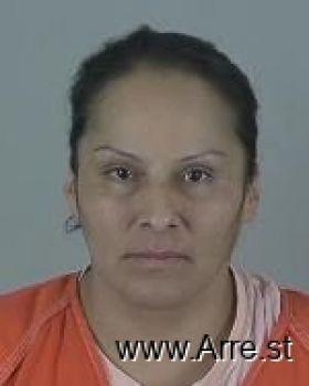 Kristie Marie Eagle Mugshot