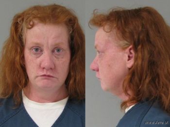 Kristin Kay Lucas Mugshot