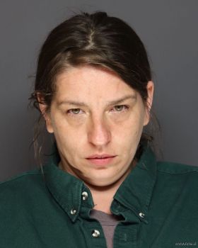 Kristina Marie Schultz Mugshot