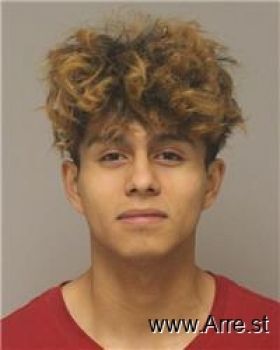 Luis Enrique Rosales Mugshot