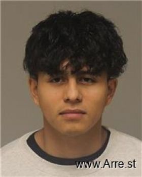 Luis Enrique Rosales Mugshot