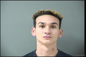 Logan Keith Mattson Mugshot