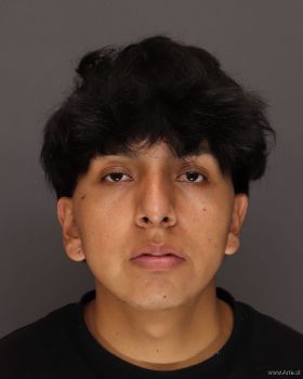 Luis Fernando Gomez-gomez Mugshot