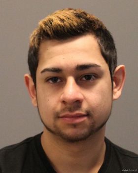 Luis Daniel Gonzales-barajas Mugshot