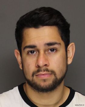 Luis Daniel Gonzales-barajas Mugshot