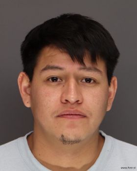 Luis Hesiel Santesortiz Mugshot