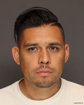 Luis Erick Vega-avila Mugshot