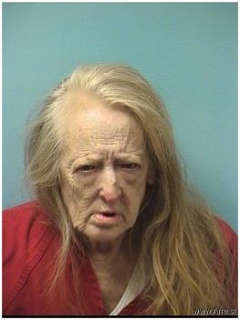 Mary Ann Sanders Mugshot