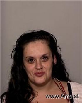 Melissa Ann Williams Mugshot