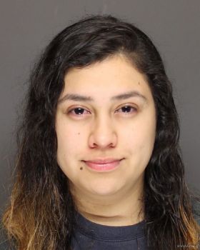 Maria Trinidad Gonzales-barajas Mugshot