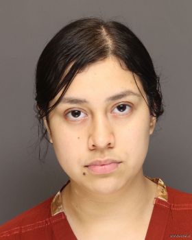 Maria Trinidad Gonzales-barajas Mugshot