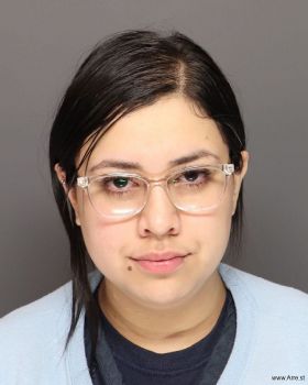 Maria Trinidad Gonzales-barajas Mugshot