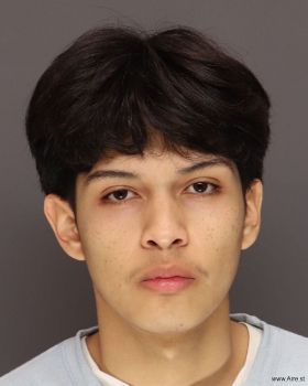 Mario  Navagasga Mugshot