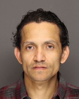 Mario Alberto Estrada Trejo Mugshot