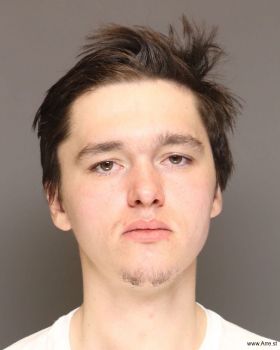 Mason Trevor Dziuk Mugshot