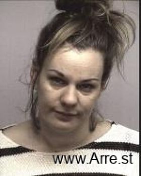 Michelle Lynn Rozek Mugshot