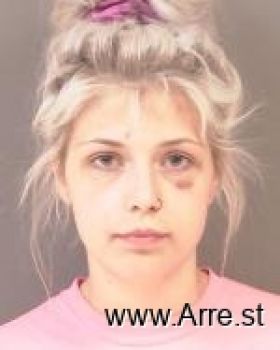 Miranda Michelle Sanow Mugshot