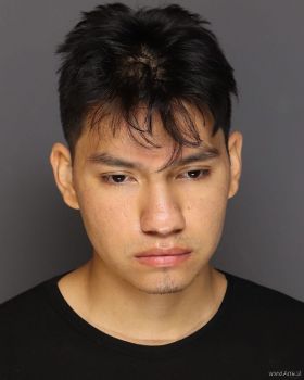 Nelson Medardo Torreslinares Mugshot