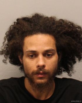 Nicholas Dominique Woods Mugshot