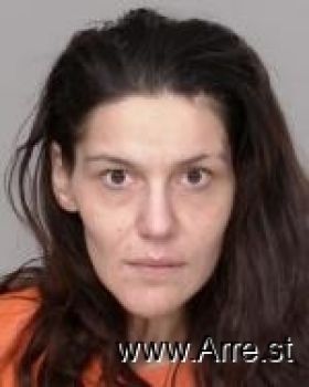 Nicole Dawn Schmidt Mugshot