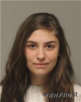 Paige Ann Gerdts Mugshot