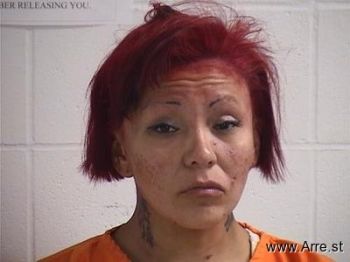 Patricia Lynn Barrett Mugshot