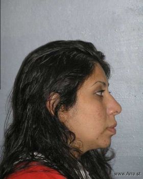 Patricia Ann Magallanes Mugshot