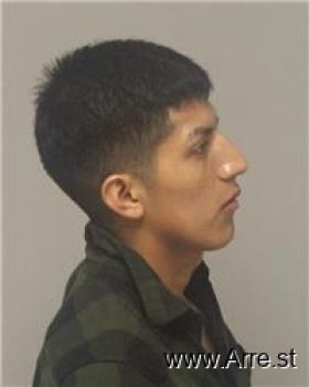 Rene Fernando Medina-medina Mugshot