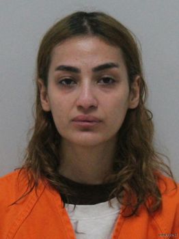 Rahaa Hilal Ahmed Alhachamam Mugshot