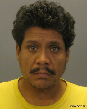 Raul Mejia Flores Mugshot