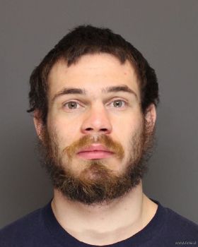 Robert Paul Braun Mugshot