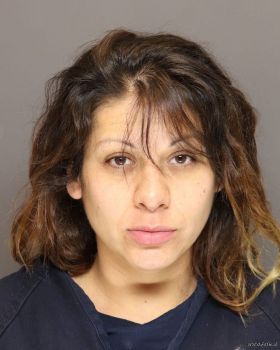 Rosemary  Reyes Mugshot