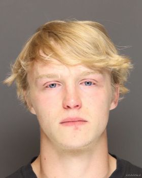 Ryan Steven Pederson Mugshot