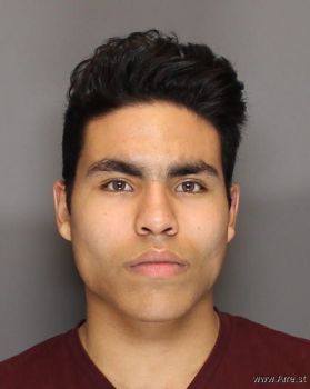 Samir David Awais-castellano Mugshot