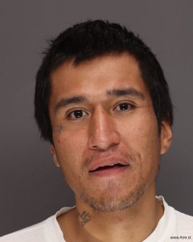 Santana Ismael Ruiz-estrada Mugshot