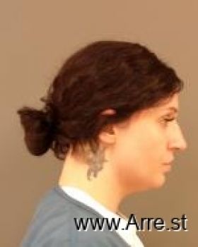 Sara Ann Bassett Mugshot