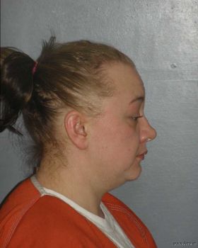 Sarah Linn Anderson Mugshot