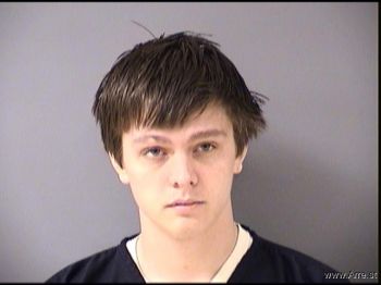 Shane Michael Henry Mugshot