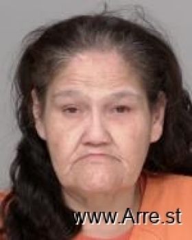 Shannon Lee Cook Mugshot