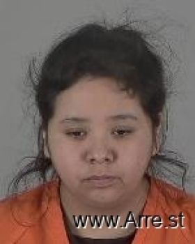 Shawna Michelle Wilson Mugshot